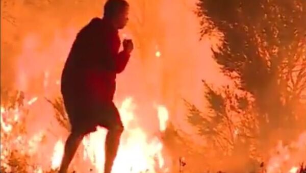 رجل يحاول انقاذ أرنب من حريق كاليفورنيا - سبوتنيك عربي