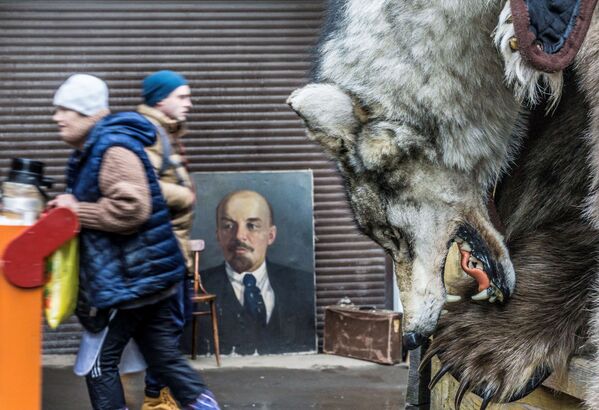 جلد الذئب للبيع، على لوحة الثوري الشيوعي الروسي فلاديمير إيليتش أوليانوف، المعروف أيضا باسم لينين، في سوق إزمايلوفو في موسكو، روسيا 3 ديسمبر/ كانون الأول 2017 - سبوتنيك عربي