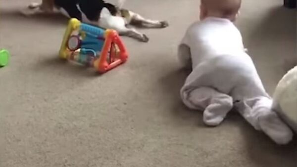 طفل و كلب يلعبان - سبوتنيك عربي