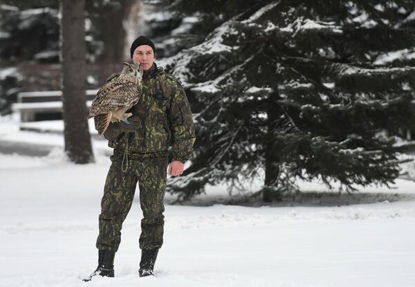 جندي من خدمة طيور حرس الكرملين يمسك البومة في موسكو - سبوتنيك عربي