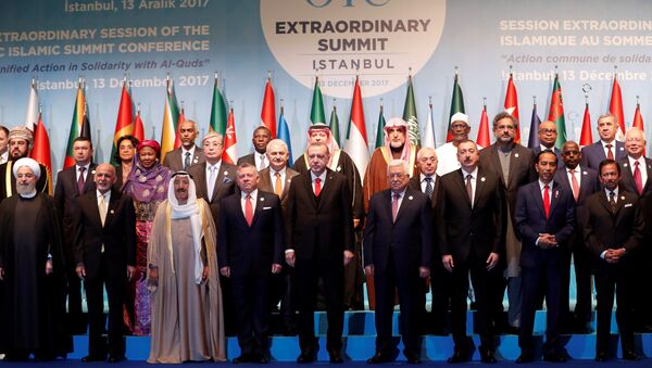 قمة التعاون الإسلامي في اسطنبول في 13 دسمبر/كانون الأول - سبوتنيك عربي