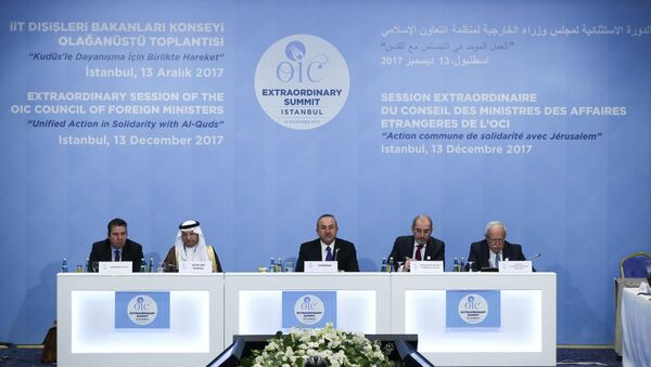 الدورة الاستثنائية لمجلس وزراء الخارجية لمنظمة التعاون الإسلامي في اسطنبول، تركيا 13 ديسمبر/ كانون الأول 2017 - سبوتنيك عربي