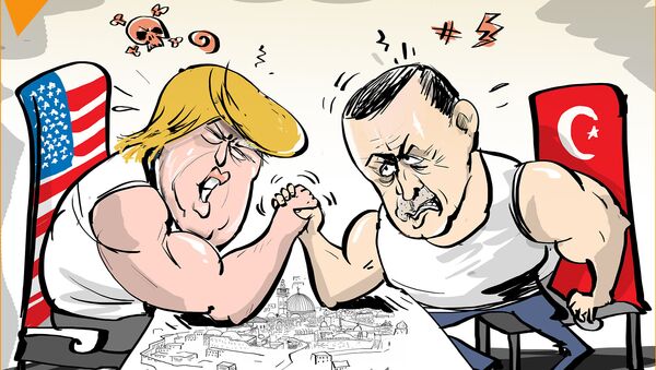 مواجهة ترامب وأردوغان حول القدس - سبوتنيك عربي
