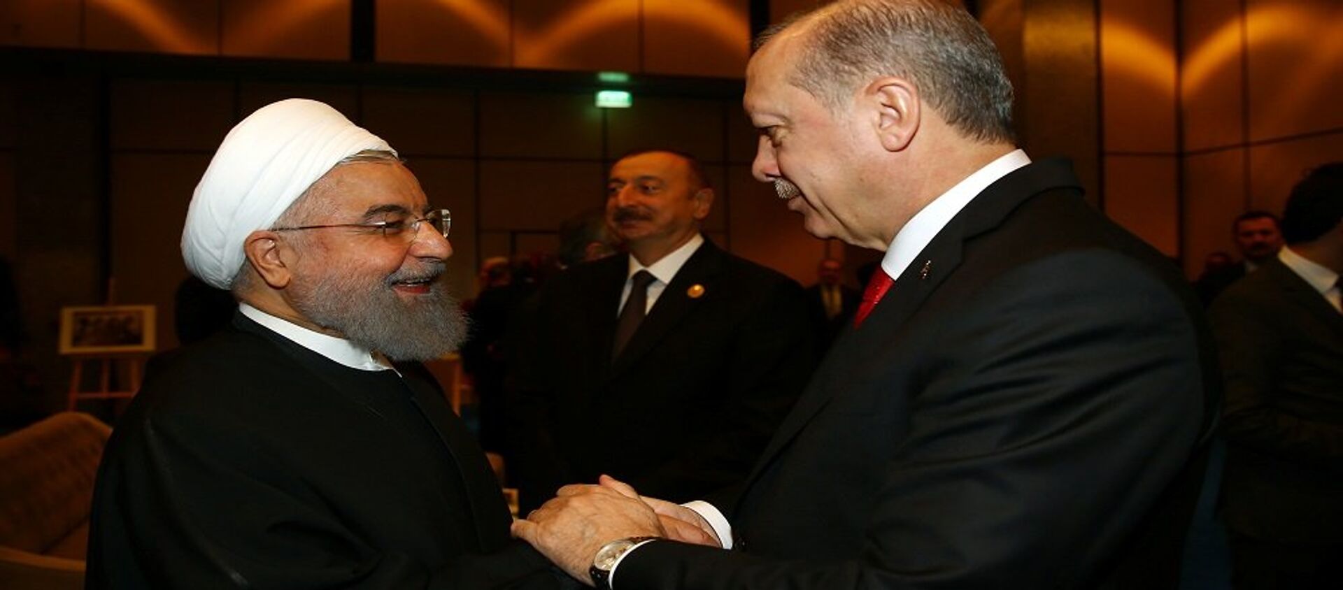  الرئيس التركي رجب طيب أردوغان والرئيس الإيراني حسن روحاني في اسطنبول، تركيا 13 ديسمبر/ كانون الأول 2017 - سبوتنيك عربي, 1920, 30.03.2021
