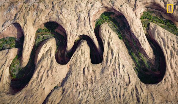 مسابقة ناشيونال جيوغرافيك للطبيعة لعام 2017 - المصور ديفيد سويندر، صورة بعنوان اخضرار على ضفاف النهر (Green vegetation blooms at the river’s edge)، ولاية يوتا، الولايات المتحدة - سبوتنيك عربي
