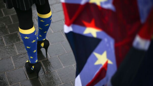 مشاركة في مظاهرة مناهضة للخروج من الاتحاد الأوروبي، ترتدي جوارب مزخرفة بنجوم الاتحاد الأوروبي، على خلفية علم بريطانيا، خارج البرلمان البريطاني، في وسط لندن في 13 ديسمبر/ كانون الأول 2017 - سبوتنيك عربي
