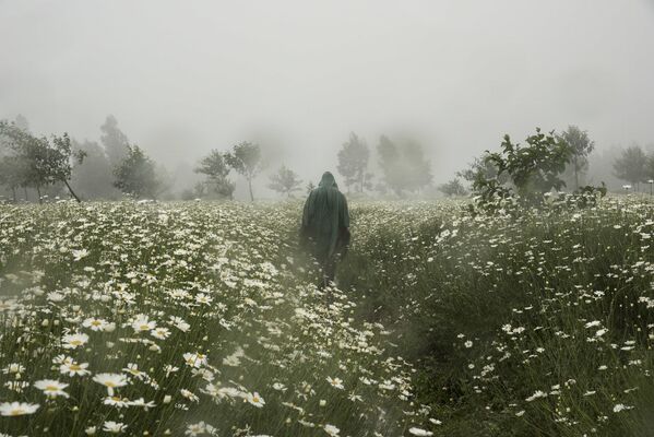 حديقة البراكين الوطنية، روندا - المصور ألكسندر زيندي الفائز في فئة جائزة المواهب الجديدة - سبوتنيك عربي