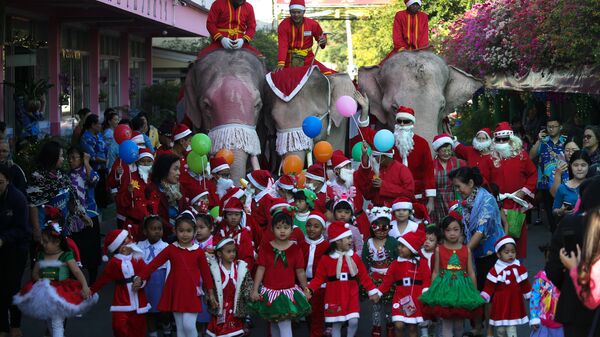 أفيال ترتدي زي بابا نويل في تايلاند، الجمعة 22 ديسمبر/ كانون الأول 2017 - سبوتنيك عربي
