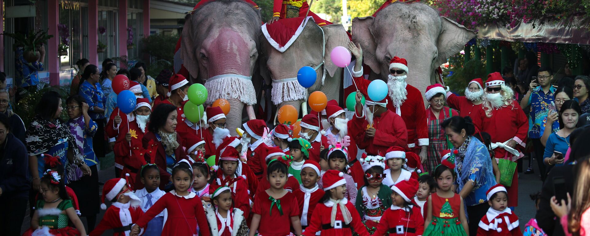 أفيال ترتدي زي بابا نويل في تايلاند، الجمعة 22 ديسمبر/ كانون الأول 2017 - سبوتنيك عربي, 1920, 13.03.2022