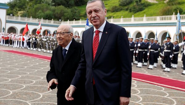 أردوغان والسبسي - سبوتنيك عربي