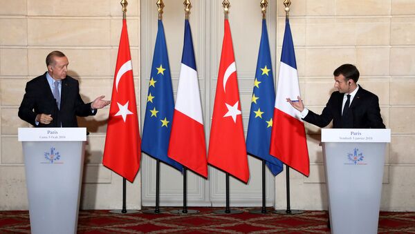الرئيس الفرنسي إيمانويل ماكرون والرئيس التركي أردوغان في باريس، 5 يناير/ كانون الثاني2017  - سبوتنيك عربي