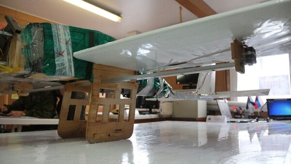 طائرة بدون طيار التي حاولت استهداف قاعدة الحميميم - سبوتنيك عربي