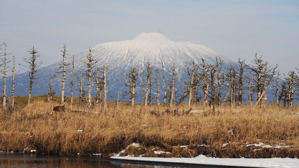 بركان تياتيا، وهو بركان نشط في جزيرة كوناشير لمحمية الكوريل الطبيعية - سبوتنيك عربي