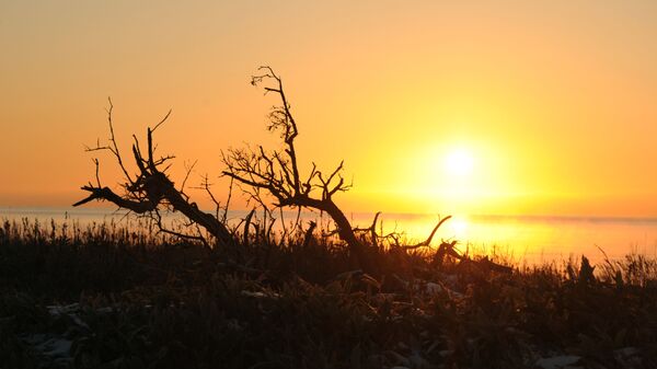 غروب الشمس على ساحل جزيرة كوناشير لمحمية الكوريل الطبيعية - سبوتنيك عربي
