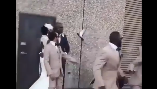 حمامة تسبب الحرج لعروس أثناء حفل زفافها - سبوتنيك عربي