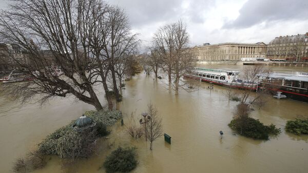 فيضان في نهر السين، باريس، فرنسا 29 يناير/ كانون الثاني 2018 - سبوتنيك عربي