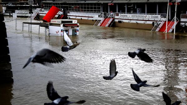 فيضان في نهر السين، باريس، فرنسا 29 يناير/ كانون الثاني 2018 - سبوتنيك عربي