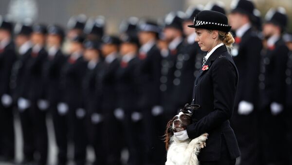 شرطية بريطانية في لندن - سبوتنيك عربي