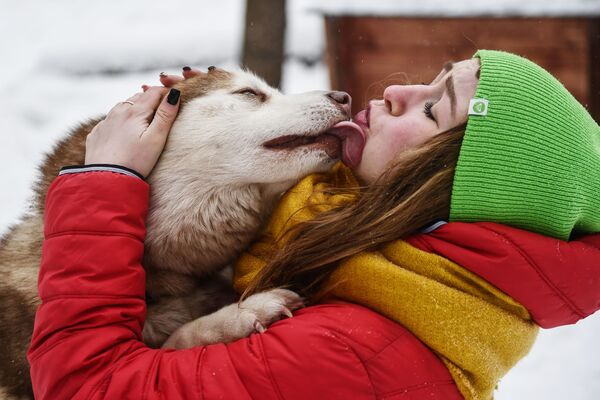 فتاة مع كلب هاسكي في حديقة سوكولنيكي بموسكو - سبوتنيك عربي