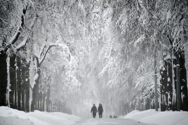 تساقط الثلوج الكثيفة في موسكو - سبوتنيك عربي
