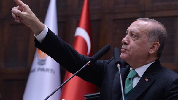 الرئيس التركي رجب طيب إردوغان - سبوتنيك عربي