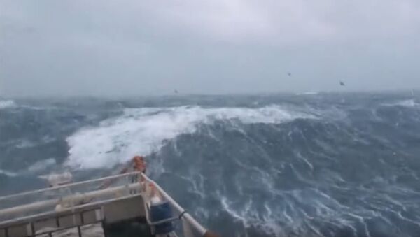 سفينة تصارع أمواج بحر الشمال - سبوتنيك عربي