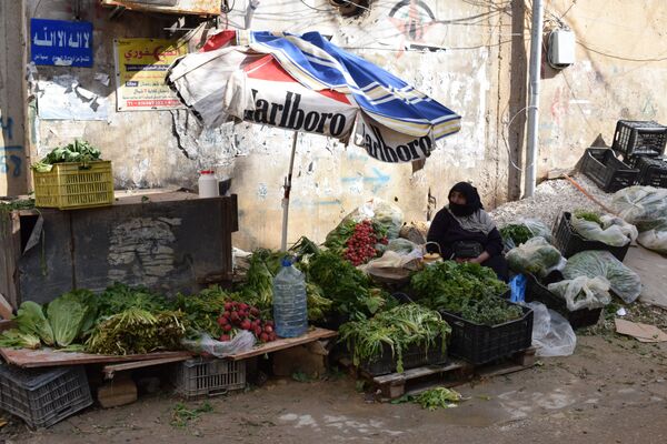فلسطينيو لبنان فلسطينيو لبنان - سبوتنيك عربي