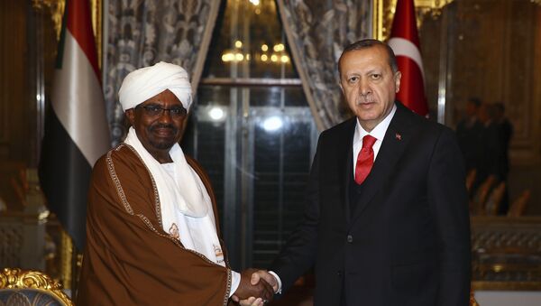 الرئيس التركي رجب طيب أردوغان خلال اللقاء مع الرئيس السوداني عمر البشير - سبوتنيك عربي