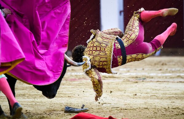 مصارع الثيران الإسباني إيل خولي يسقط خلال مصارعة الثيران في حلبة مصارعة لا سانتا ماريا في بوغوتا، كولومبيا 18 فبراير/ شباط 2018 - سبوتنيك عربي
