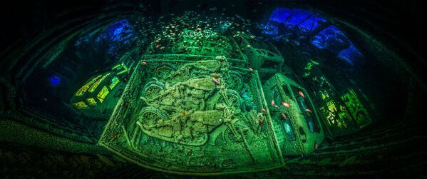 مسابقة التصوير تحت الماء لعام 2018 - صورة فائزة  في المسابقة CYCLE-WAR للمصور الألماني توبياس فريدريخ، - سبوتنيك عربي