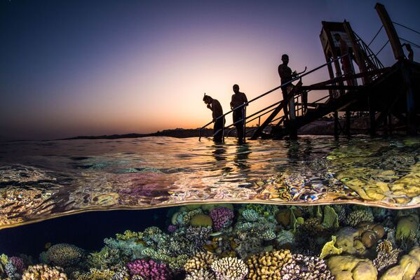 مسابقة التصوير تحت الماء لعام 2018 - صورة Evening Snorkel للمصور بروك بيترسون، في فئة Wide Angle - سبوتنيك عربي