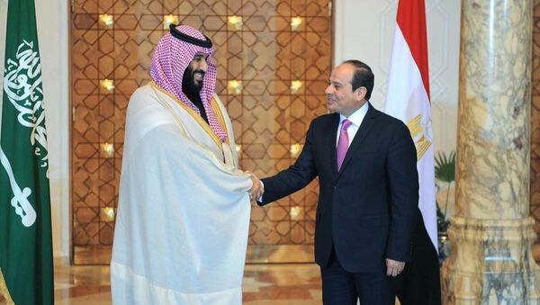 الرئيس السيسي يستقبل ولي العهد السعودي محمد بن سلمان - سبوتنيك عربي