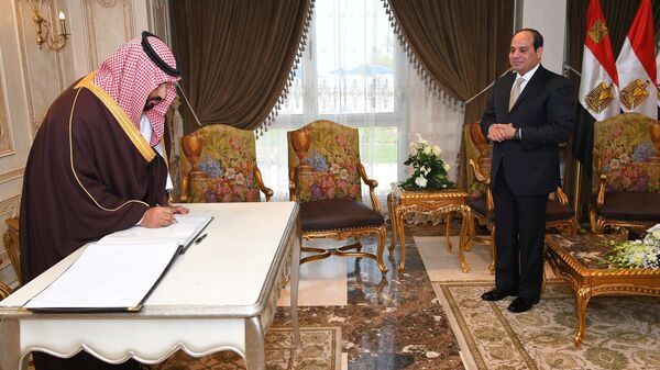 الرئيس عبد الفتاح السيسي وولي العهد السعودي محمد بن سلمان - سبوتنيك عربي