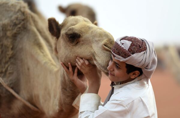 صبي يلتقط صورة مع جمل في مهرجان الملك عبد العزيز للإبل في رماح، على بعد 150 كلم شرق الرياض، في 29 مارس/ آذار 2017. - سبوتنيك عربي