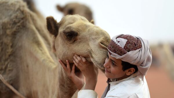صبي يلتقط صورة مع جمل في مهرجان الملك عبد العزيز للإبل في رماح، على بعد 150 كلم شرق الرياض، في 29 مارس/ آذار 2017. - سبوتنيك عربي
