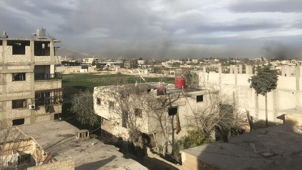 الغوطة الشرقية، سوريا - سبوتنيك عربي