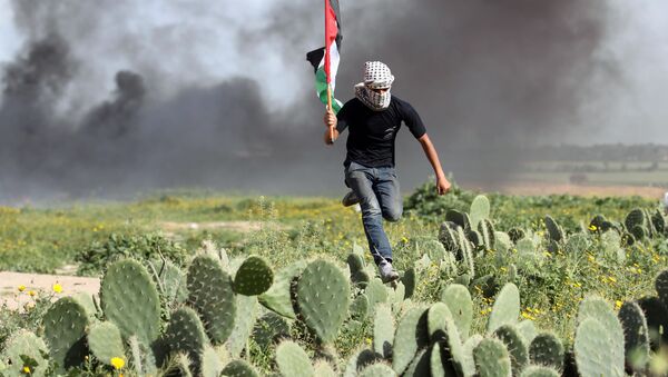 شاب فلسطيني يعبر حقلا من الصبار أثناء الاشتباكات مع القوات الإسرائيلية بالقرب من خان يونس، على الحدود قطاع غزة وإسرائيل، 9 مارس/ آذار 2018 - سبوتنيك عربي