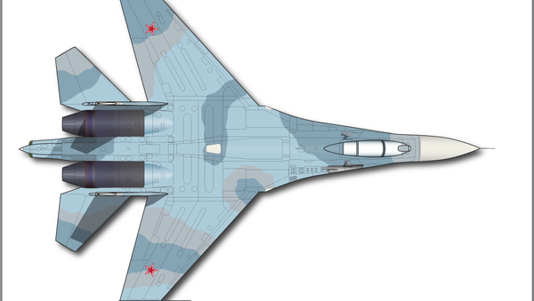 مقاتلة سو-27 الروسية - سبوتنيك عربي