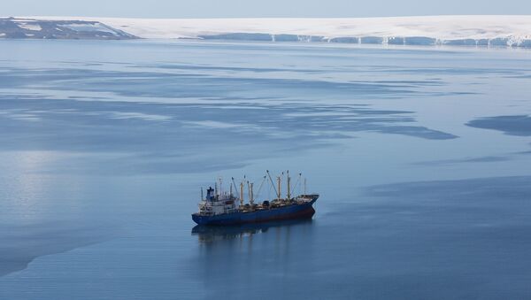 خليج هاف مون في أنتاركتيكا (القطب الجنوبي)، 18 فبراير/ شباط 2018 - سبوتنيك عربي