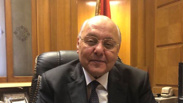 مرشح الانتخابات الرئاسية المصرية لعام 2018 موسى مصطفى موسى - سبوتنيك عربي