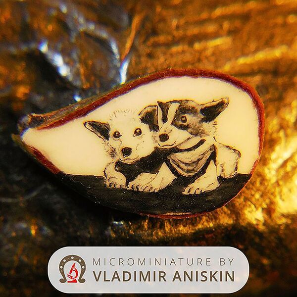 من أعمال رسام الفن الدقيق الروسي فلاديمير أنيسكين - رسم لأول الكلاب التي انطلقت في رحلة إلى الفضاء بيلكا وستريلكا، على نصف بذرة التفاح - سبوتنيك عربي