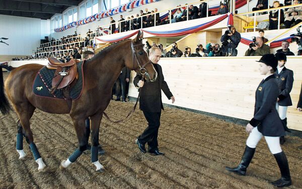 الرئيس الروسي فلاديمير بوتين يهدي للطلاب حصان عربي أصيل، عام 2002 - سبوتنيك عربي