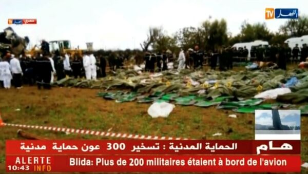 تحطم طائرة عسكرية في الجزائر - سبوتنيك عربي