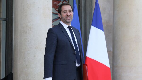 وزير الدولة للعلاقات مع البرلمان الفرنسي كريستوف كاستانير - سبوتنيك عربي
