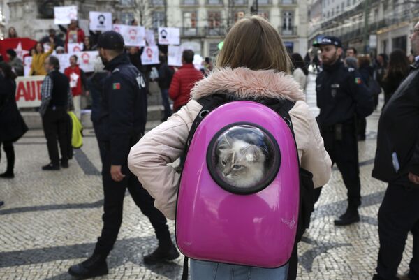 امرأة تحمل قطة في حقيبة الظهر لمشاهدة مظاهرة أقيمت لدعم الرئيس البرازيلي السابق لويس إيناسيو لولا دا سيلفا في لشبونة ، الاثنين 9 أبريل/ نيسان 2018 - سبوتنيك عربي