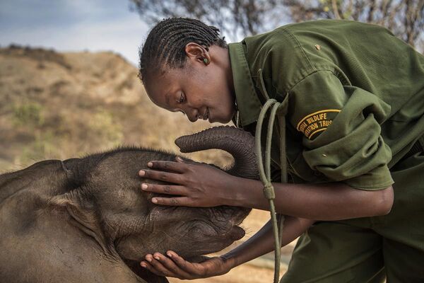 مسابقة صور الصحافة العالمية لعام 2018 - صورة بعنوان المحاربون الذين كانوا يخشون الفيلة يوما، أصبحوا الآن يحمونها للمصورة آمي فيتاليه من الولايات المتحدة، الفائزة بالمرتبة الأولى في فئة التصوير الطبيعة - سبوتنيك عربي