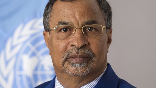 الممثل الخاص للأمين العام للأمم المتحدة ورئيس البعثة الأممية في مالي محمد صالح النظيف - سبوتنيك عربي
