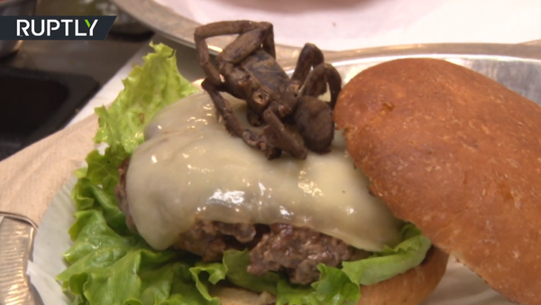 مطعم أمريكي يعرض على زبائنه عنكبوت مع كل وجبة برغر - سبوتنيك عربي