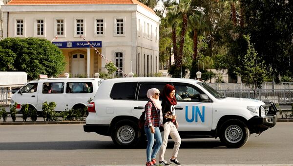 الفريق الأمني التابع للأمم المتحدة - سبوتنيك عربي