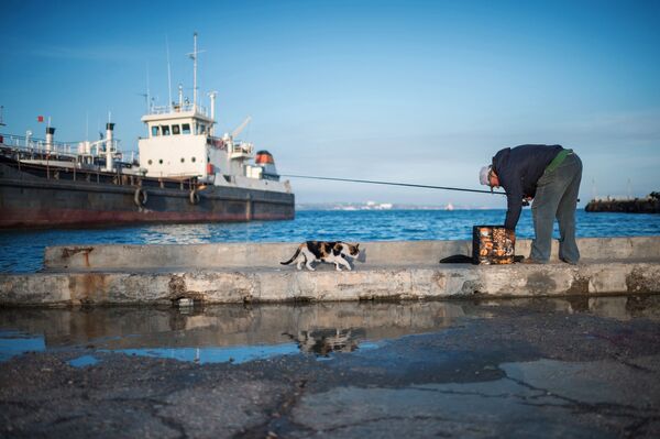 صياد في ميناء مدينة كيرتش، القرم، روسيا - سبوتنيك عربي